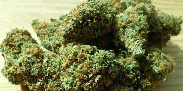 A man was charged with Possession of Marijuana with Intent to Distribute after getting caught with a pound of MJ in his car during a driving test.